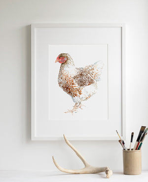 Chicken Watercolor Print, White and Brown Hen, 8x10 Farm Animal Print