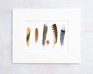 Backyard Bird Feathers Watercolor Print, Feather Art Decor