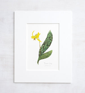 Trout Lily Wildflower Botanical Print, Yellow Woodland Flower Watercolor Art