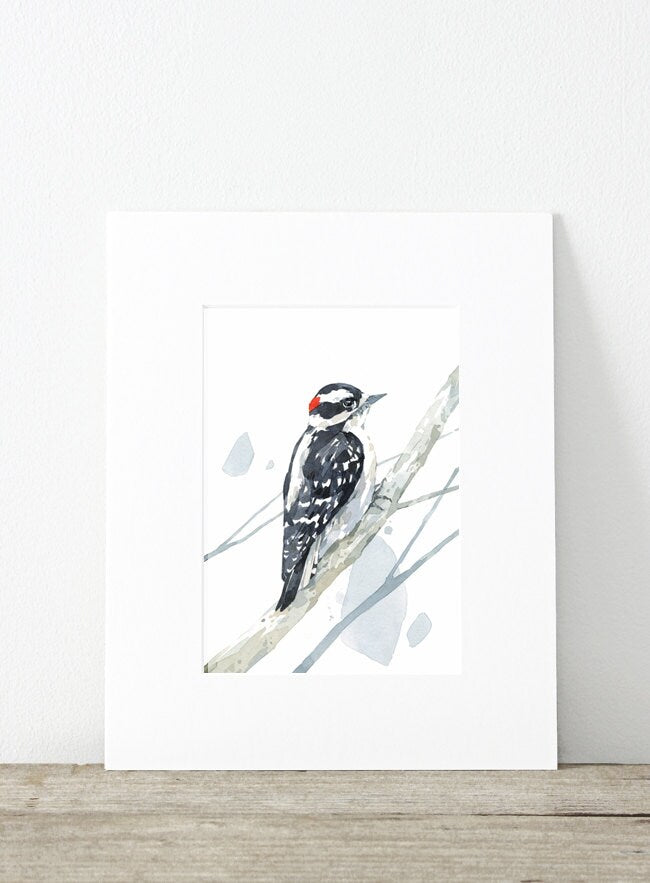 Downy Woodpecker Watercolor Print, Woodland Painting, Bird Watercolor 5x7