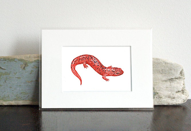 Red Salamander Art Print, Animal Watercolor Painting