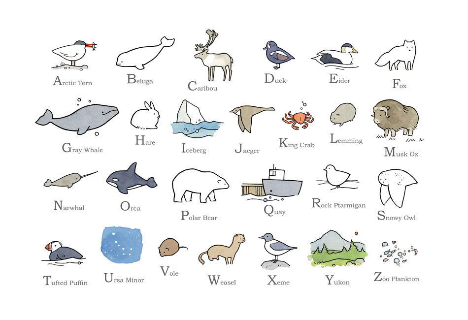 Arctic illustrated alphabet nursery art print
