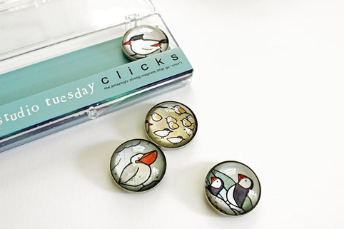 Animal Magnet Sets in the Shop