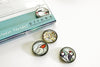 Animal Magnet Sets in the Shop