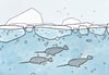 Narwhal Facts for Kids, illustrations and fun information