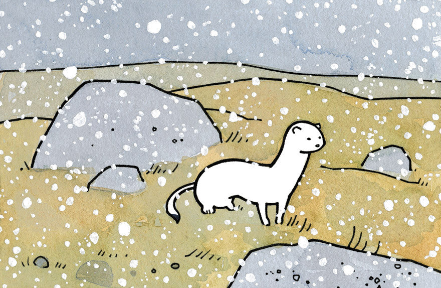 Illustrated Weasel Facts for Kids