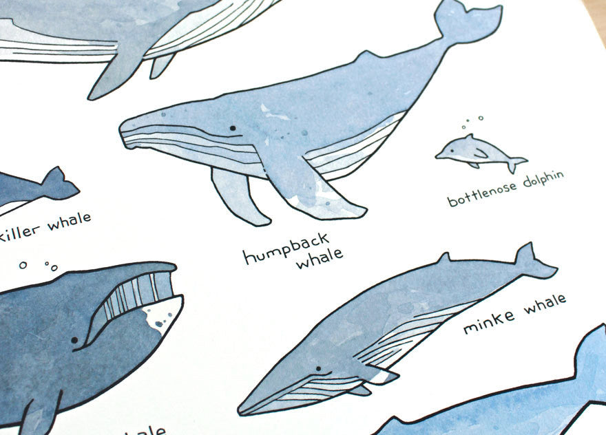 Illustrated Whales Poster, a cute print for the ocean nursery
