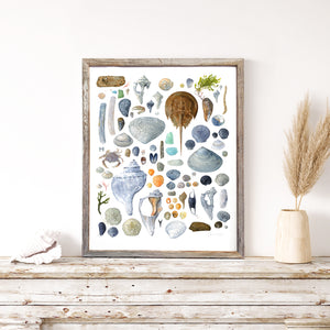 Beachcombing Shells Watercolor Print Coastal Seashore Painting Large Wall Art