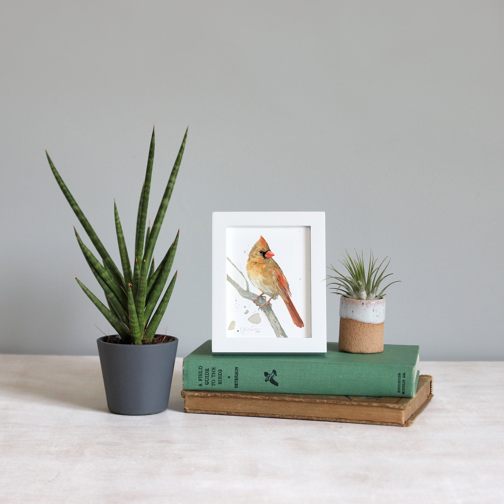 Framed Mini Female Cardinal Watercolor Print Tabletop Frame Bird Gift