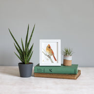 Framed Mini Female Cardinal Watercolor Print Tabletop Frame Bird Gift