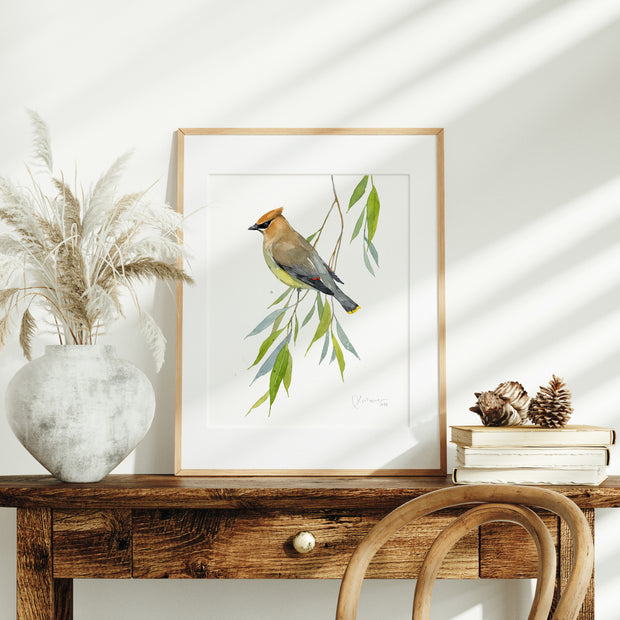 Cedar Waxwing Watercolor Print