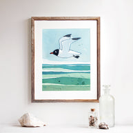 Laughing Gull Beach Print