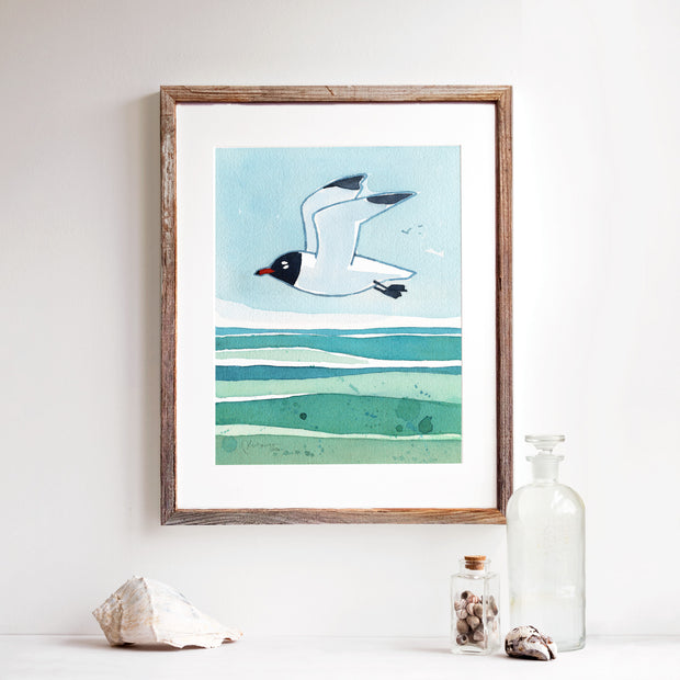 Laughing Gull Beach Print