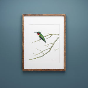 Ruby-throated Hummingbird Watercolor Print Bird Wall Art