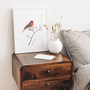 House Finch Bird Watercolor Print Backyard Bird Painting Wall Art