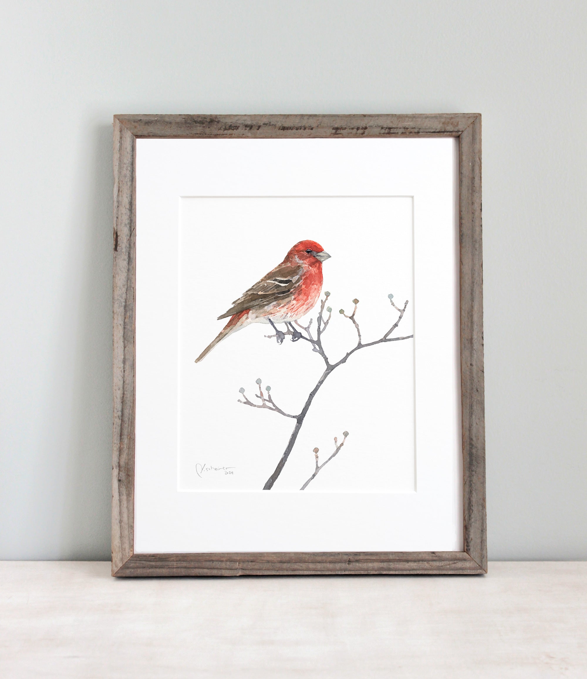 House Finch Bird Watercolor Print Backyard Bird Painting Wall Art