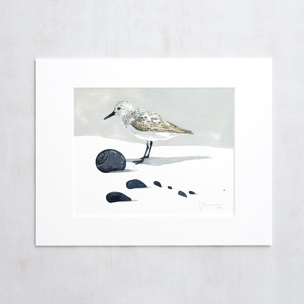Sandpiper & Mussels Print