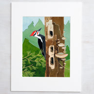 Pileated Woodpecker Print