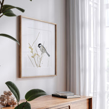 Chickadee On Branch Print