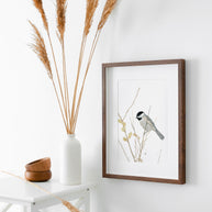 Chickadee On Branch Print