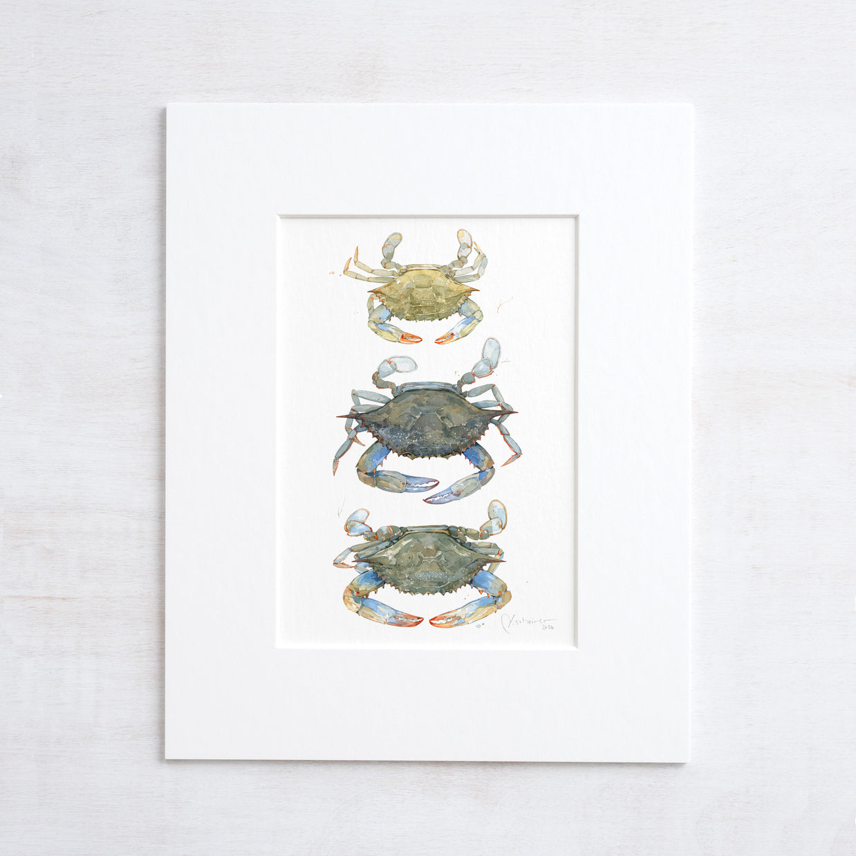 Blue Crab Teir Print