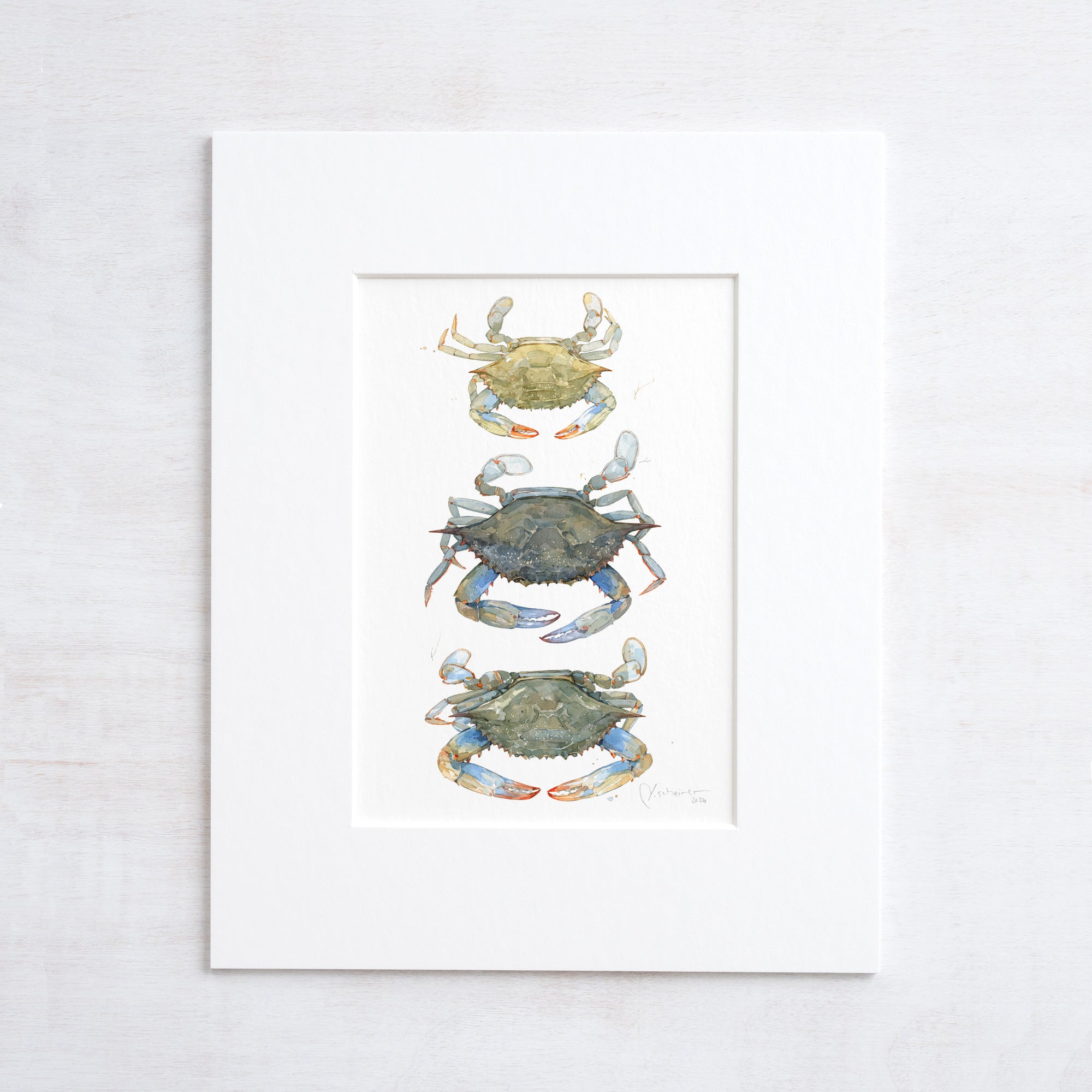 Blue Crab Teir Print