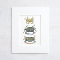 Blue Crab Teir Print
