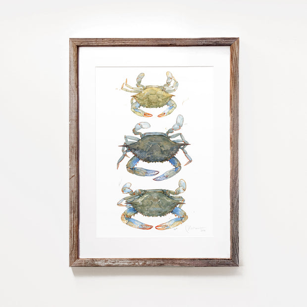 Blue Crab Teir Print
