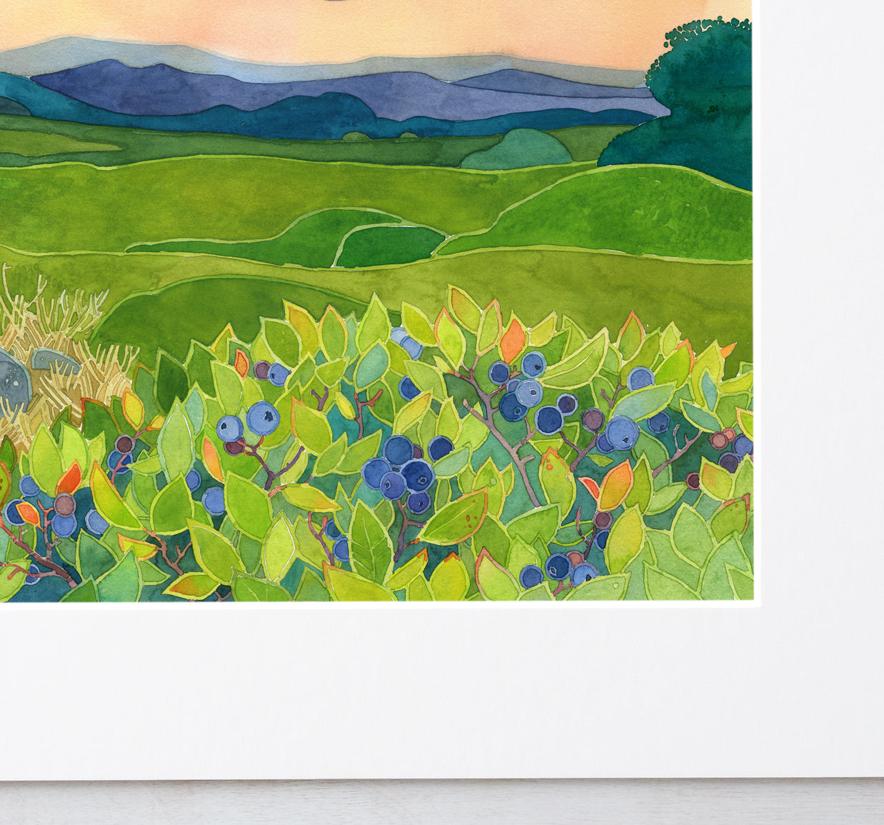Wild Blueberries Landscape Print