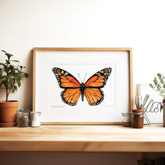 Butterfly Watercolor Print Set Choose Your Own Print Collection
