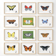 Butterfly Watercolor Print Set Choose Your Own Print Collection