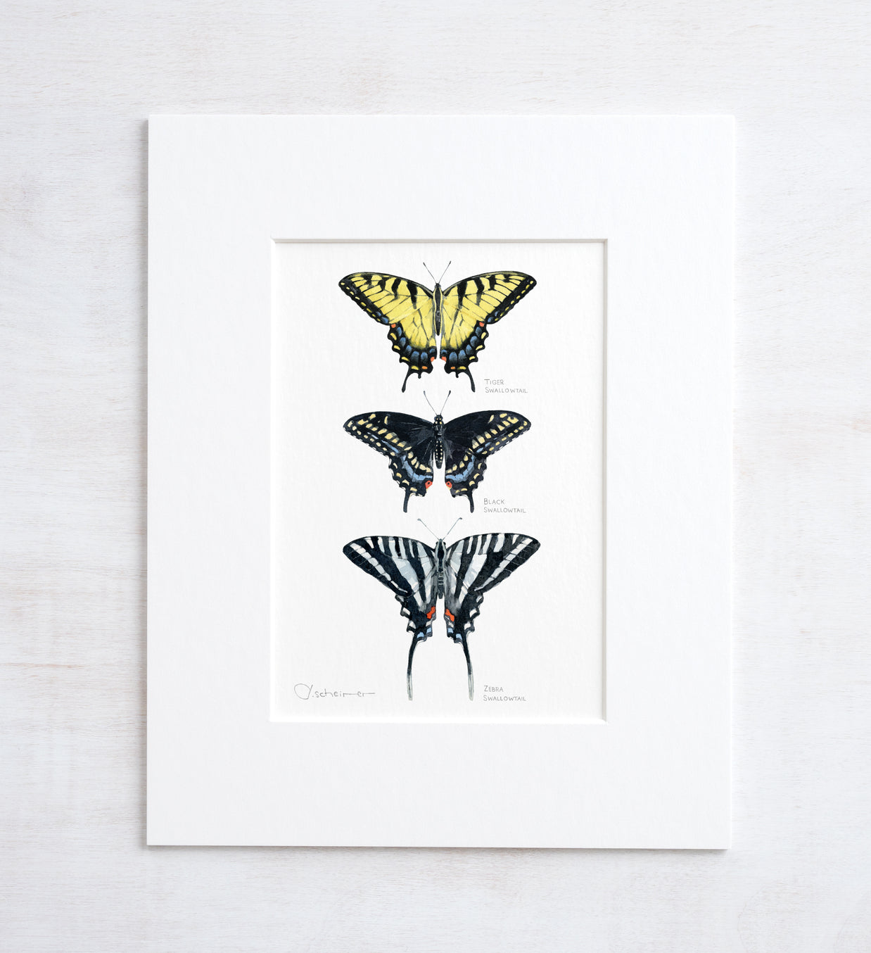 Swallowtail Butterflies Art Print