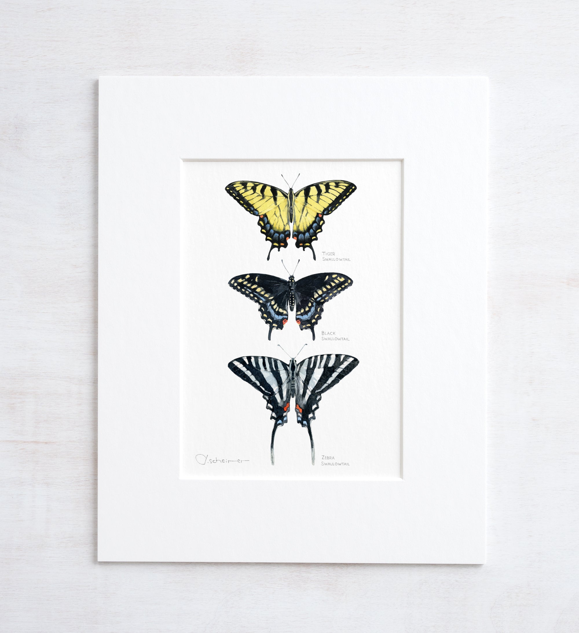Swallowtail Butterflies Art Print