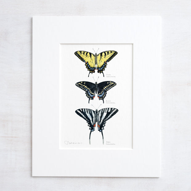 Swallowtail Butterflies Art Print