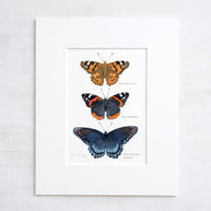 Butterfly Tier Watercolor Art Print