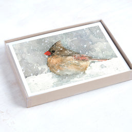 Cardinals Card Set