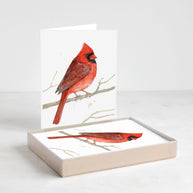 Cardinals Card Set