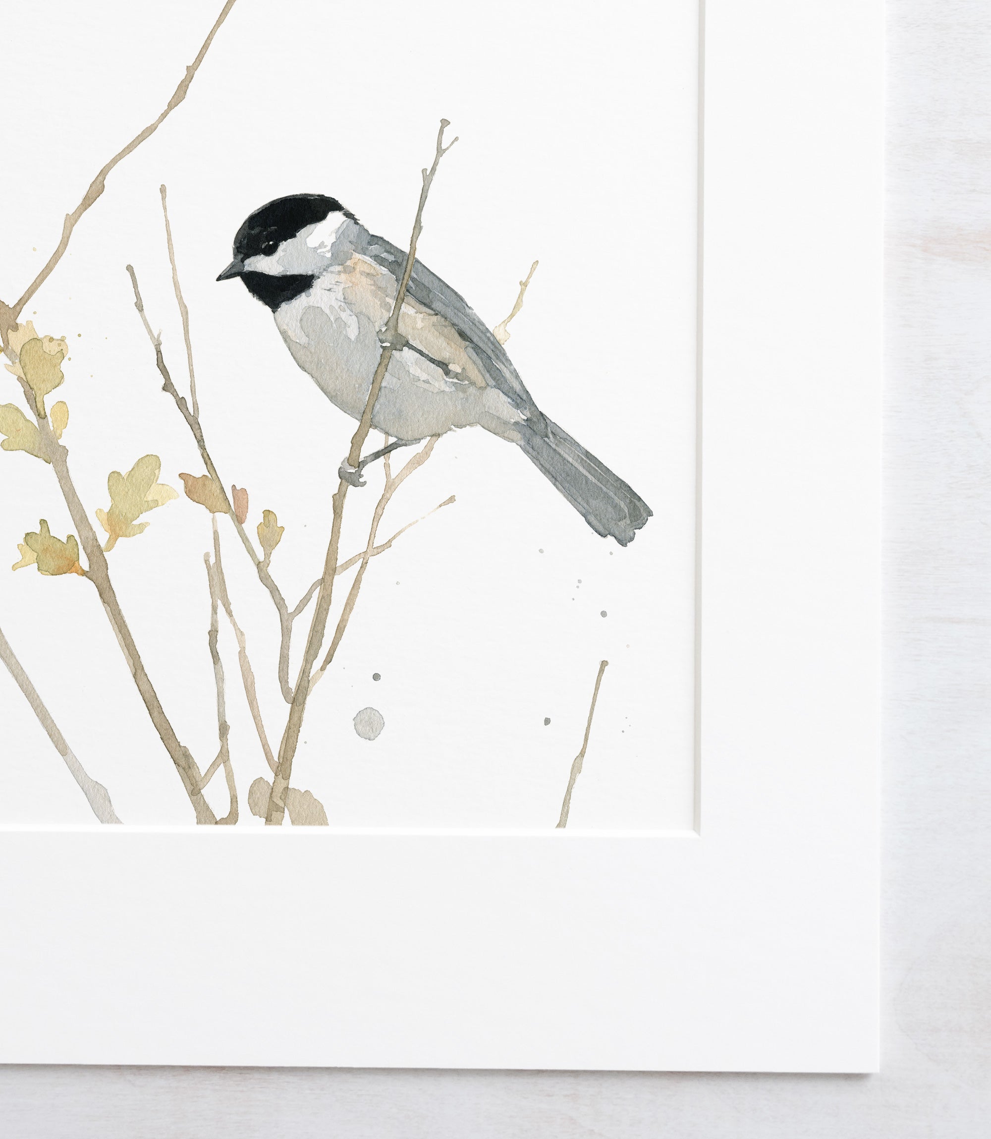 Chickadee On Branch Print
