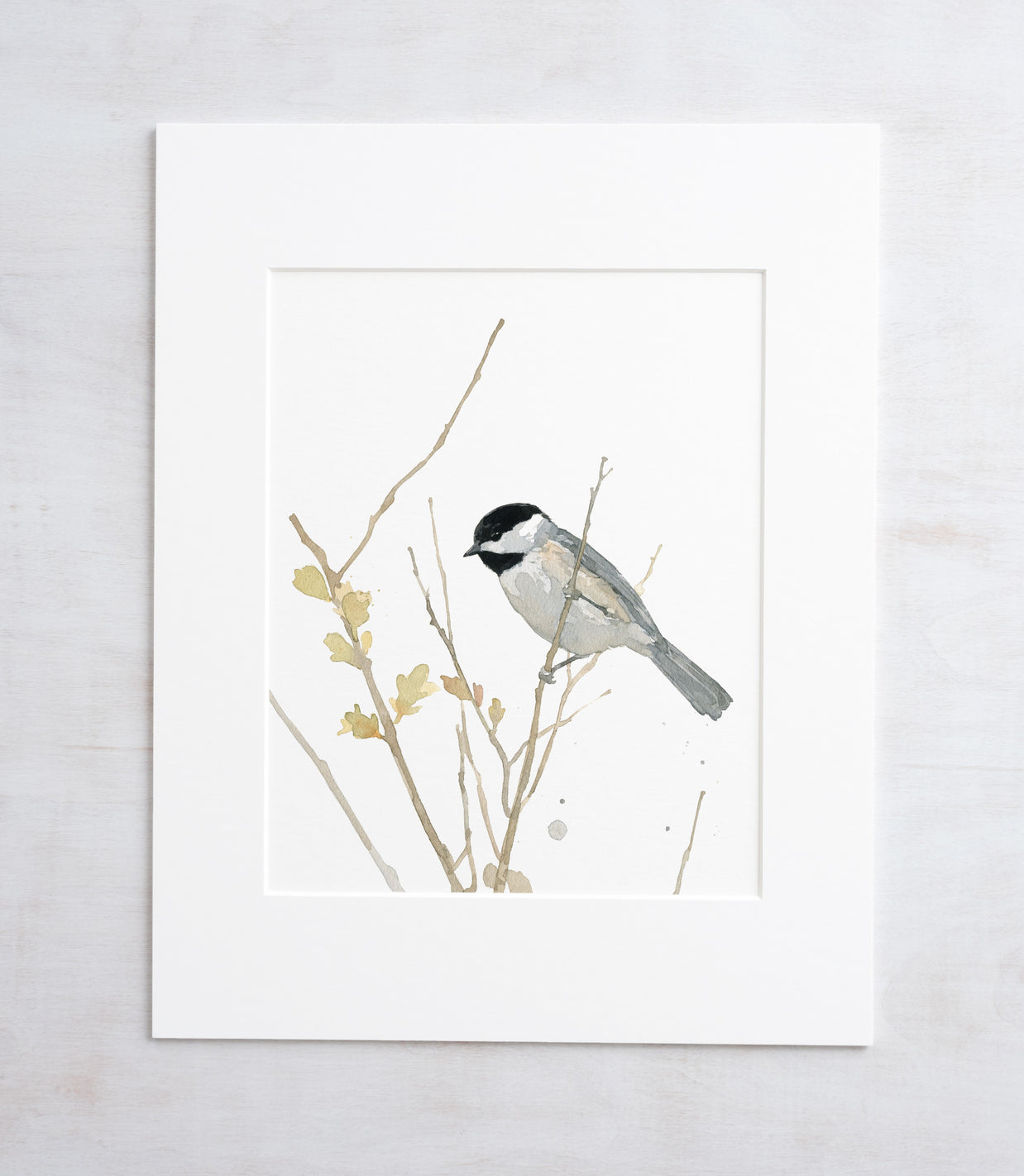 Chickadee On Branch Print