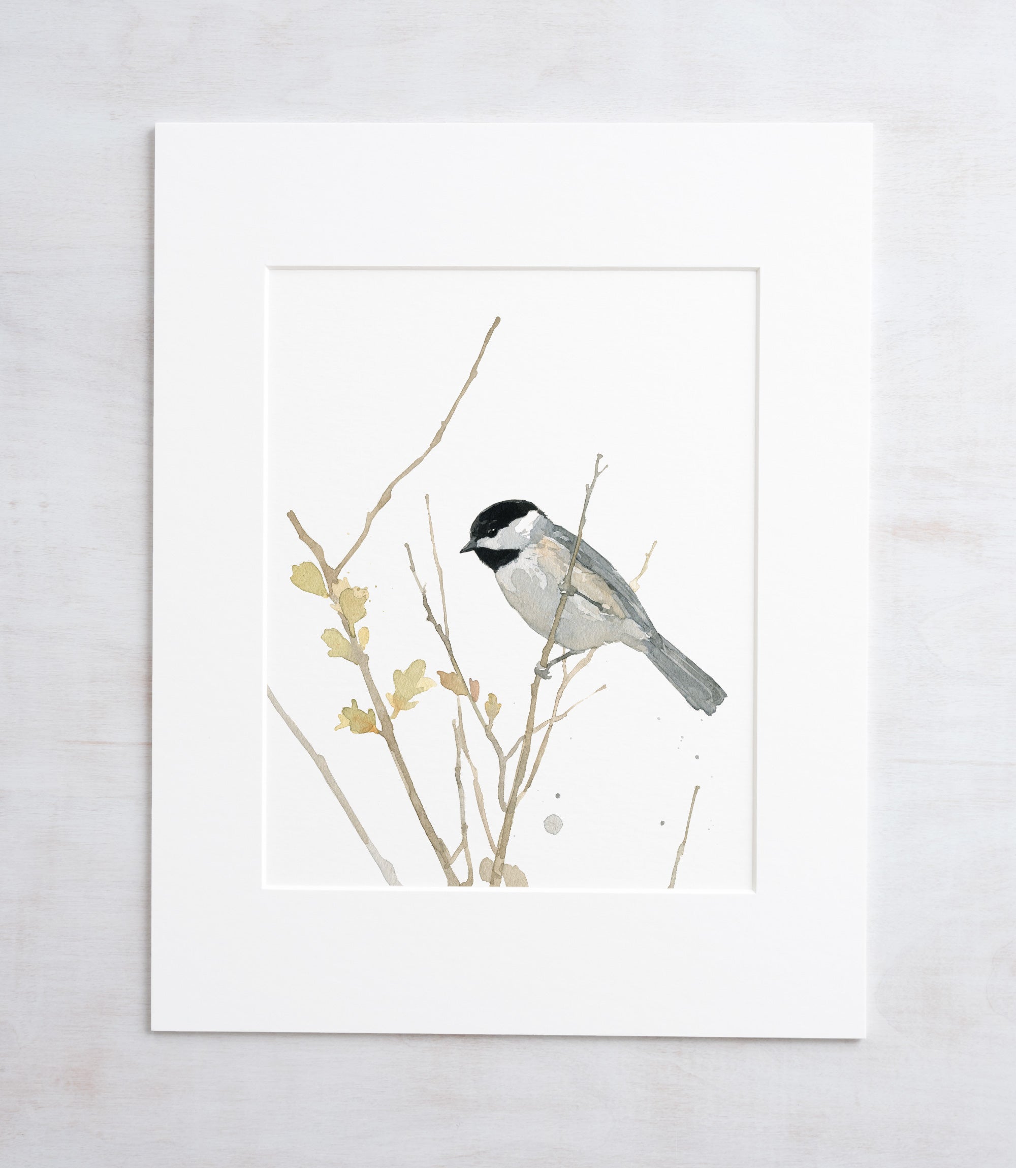 Chickadee On Branch Print