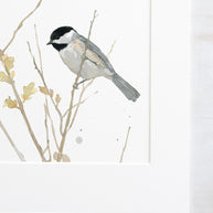 Chickadee On Branch Print