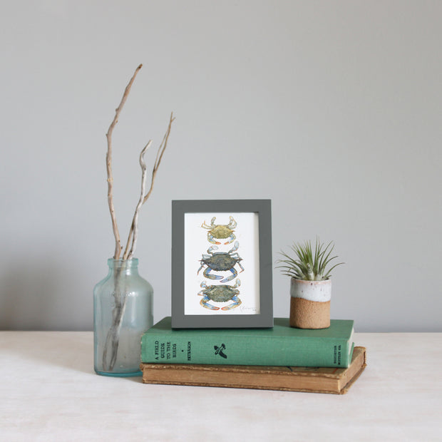 Framed Mini Blue Crabs Print