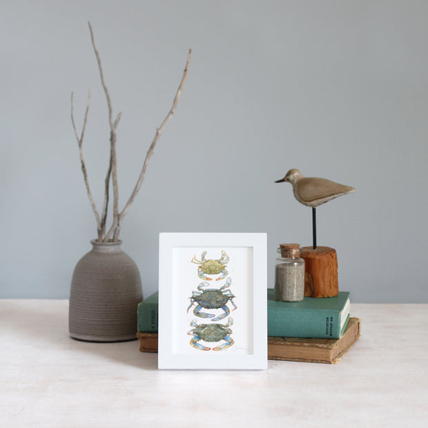 Framed Mini Blue Crabs Print
