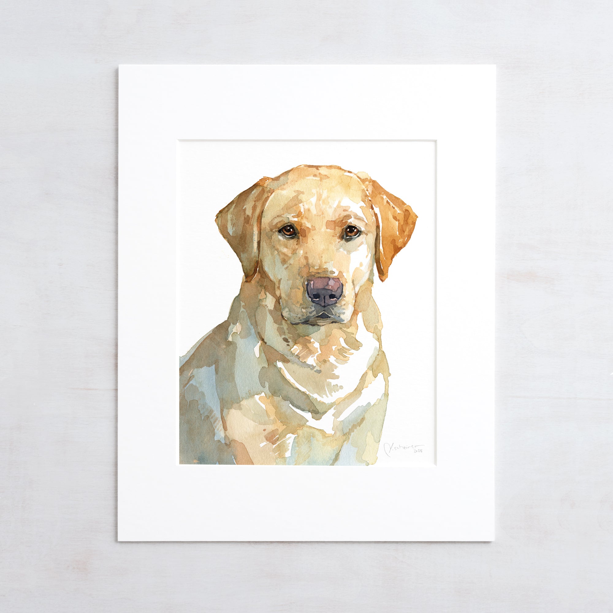 Yellow Lab Dog Print