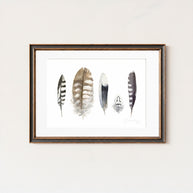 Striped Feathers Print