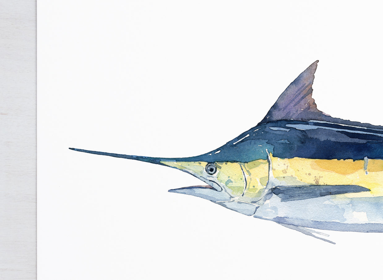 Blue Marlin Print