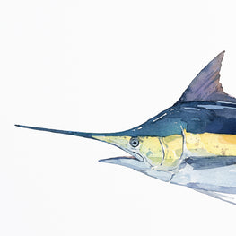 Blue Marlin Print