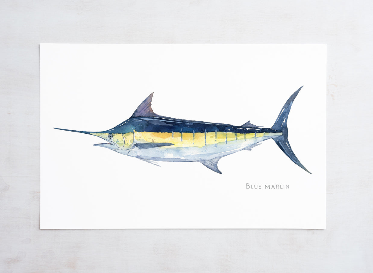 Blue Marlin Print