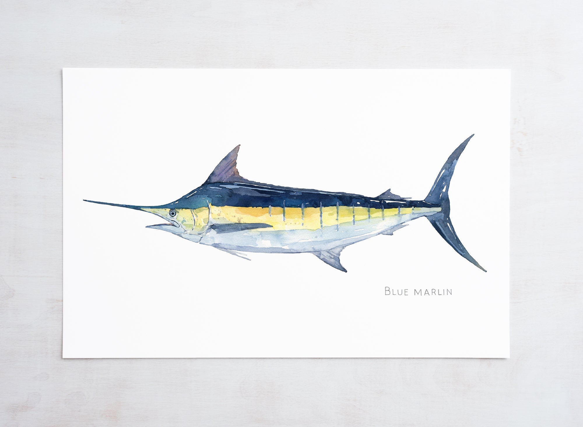 Blue Marlin Print
