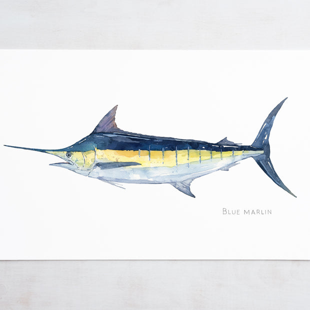 Blue Marlin Print